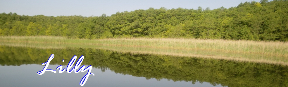 Urlaub auf der Lilly